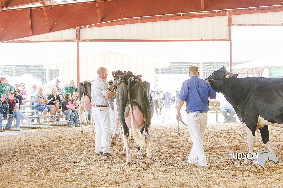LCFAIR14-2822.jpg