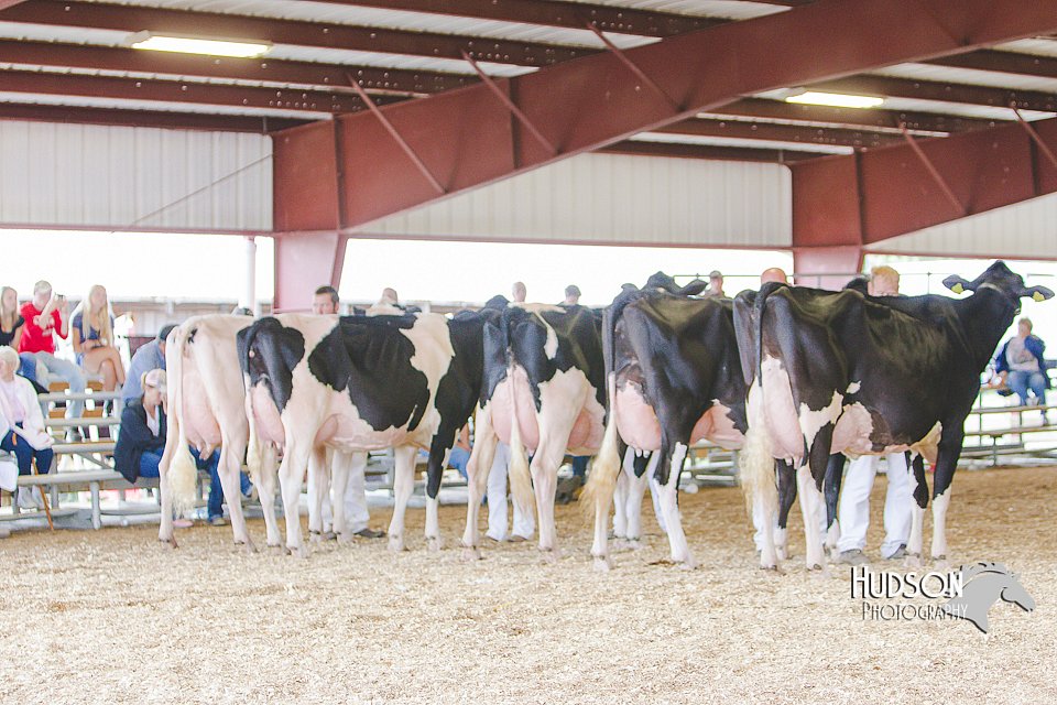 LCFAIR14-2823.jpg
