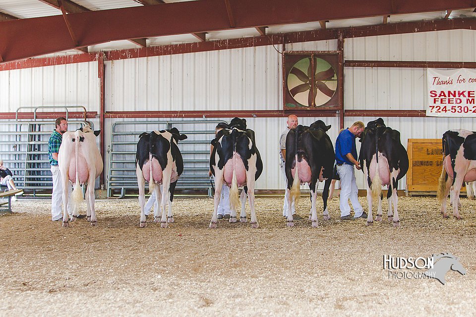LCFAIR14-2829.jpg