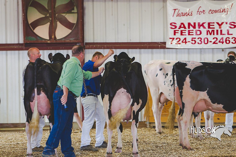 LCFAIR14-2837.jpg