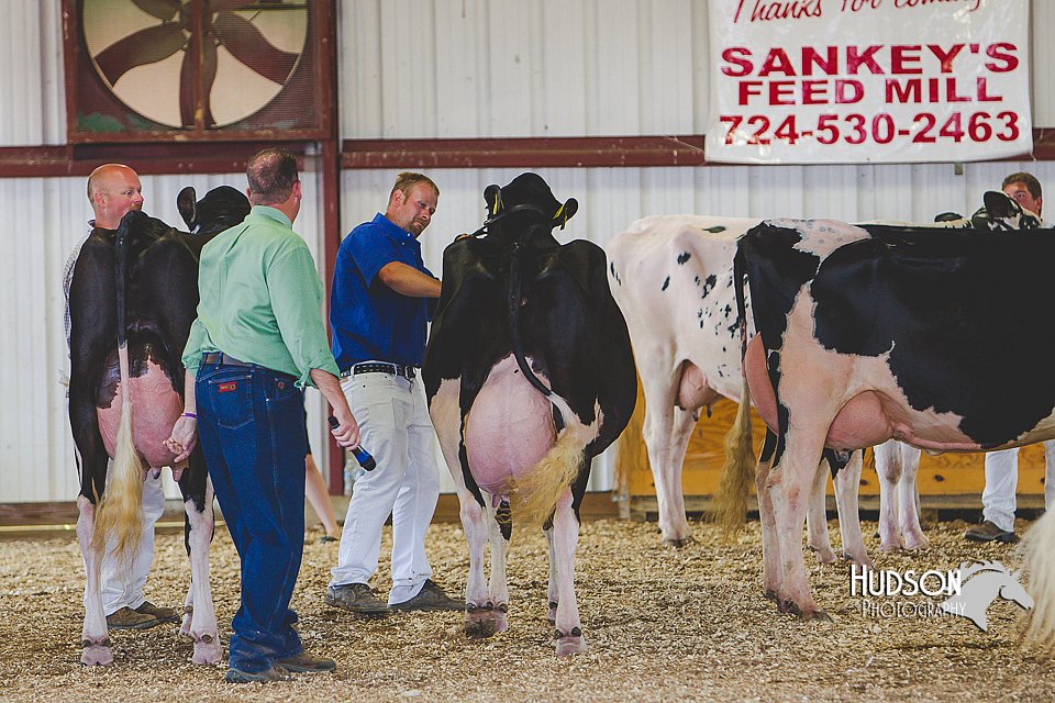 LCFAIR14-2840.jpg
