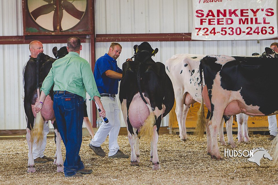 LCFAIR14-2841.jpg