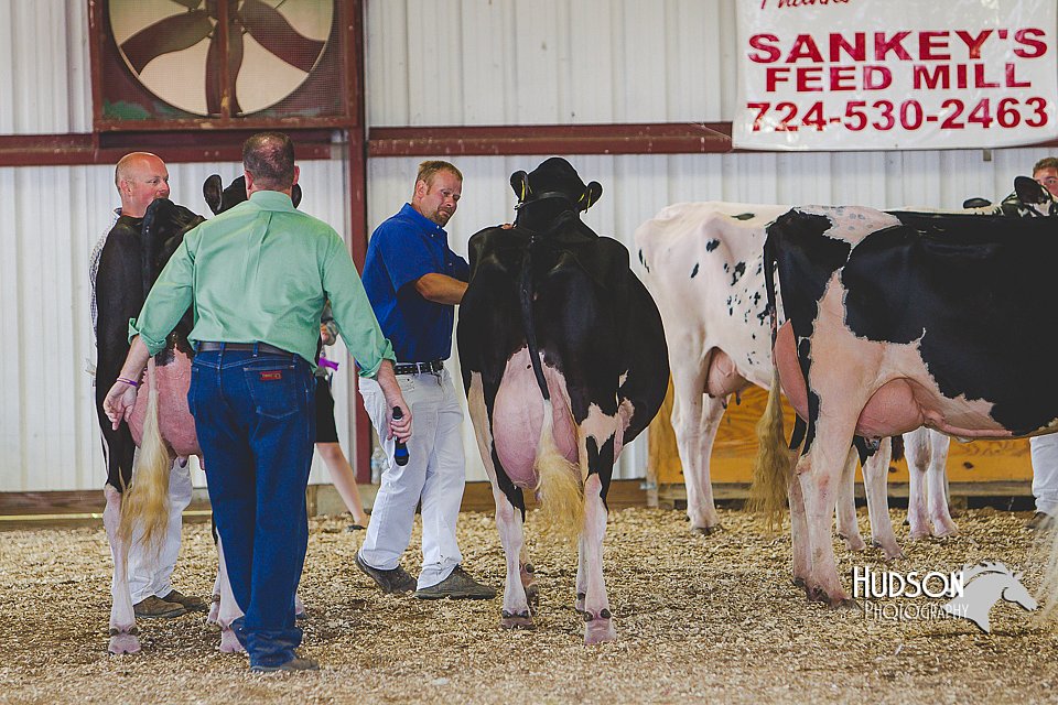 LCFAIR14-2842.jpg