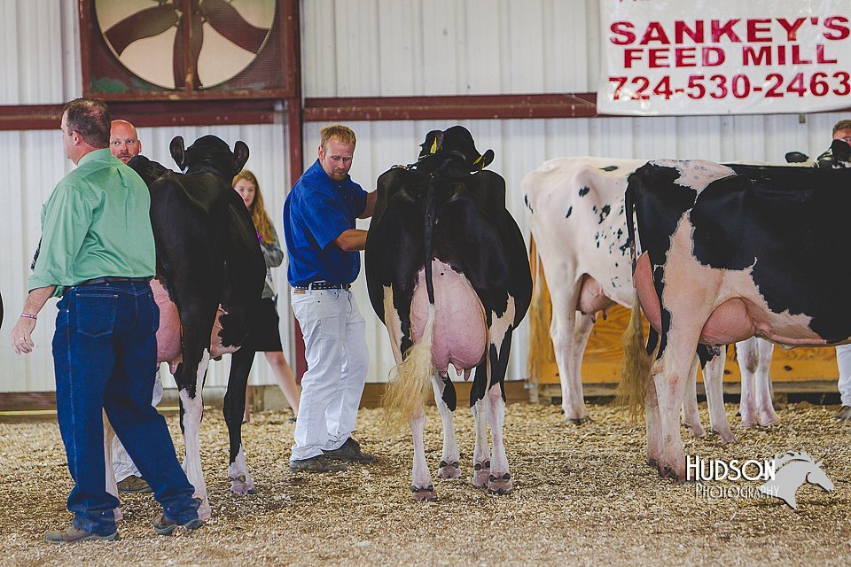 LCFAIR14-2843.jpg