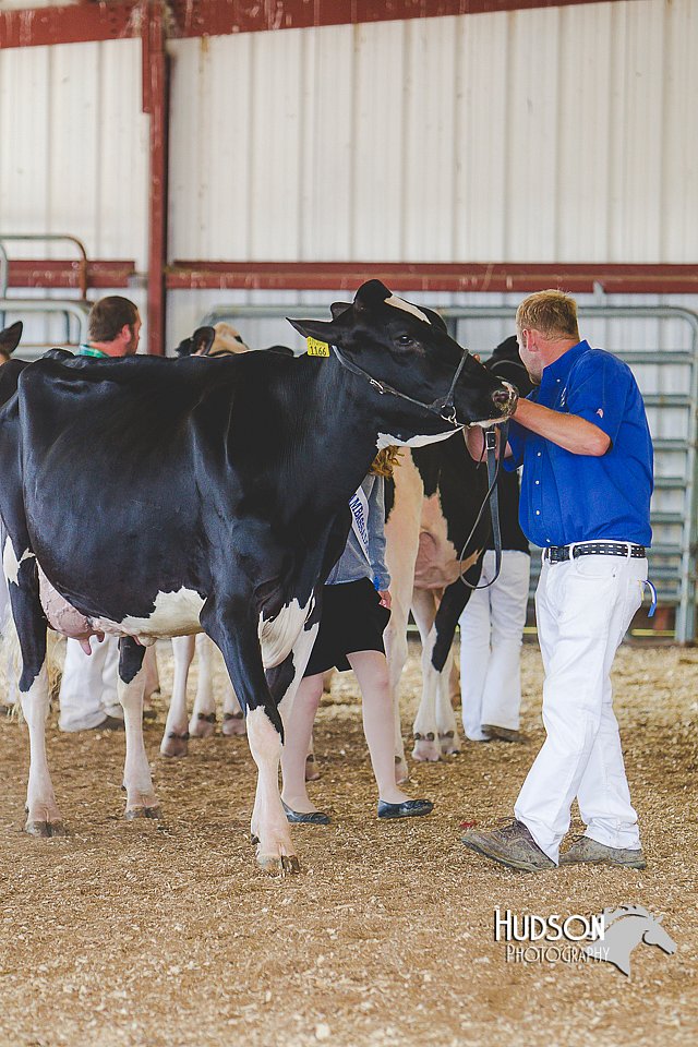 LCFAIR14-2844.jpg