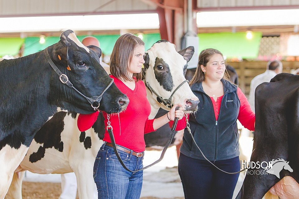 LCFAIR14-2870.jpg