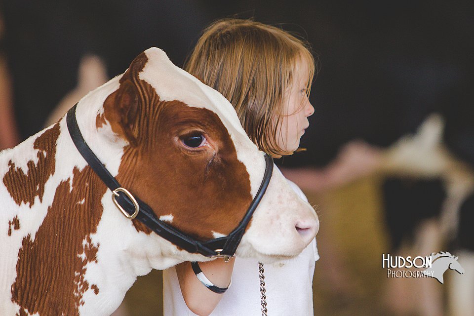 LCFAIR14-2876.jpg