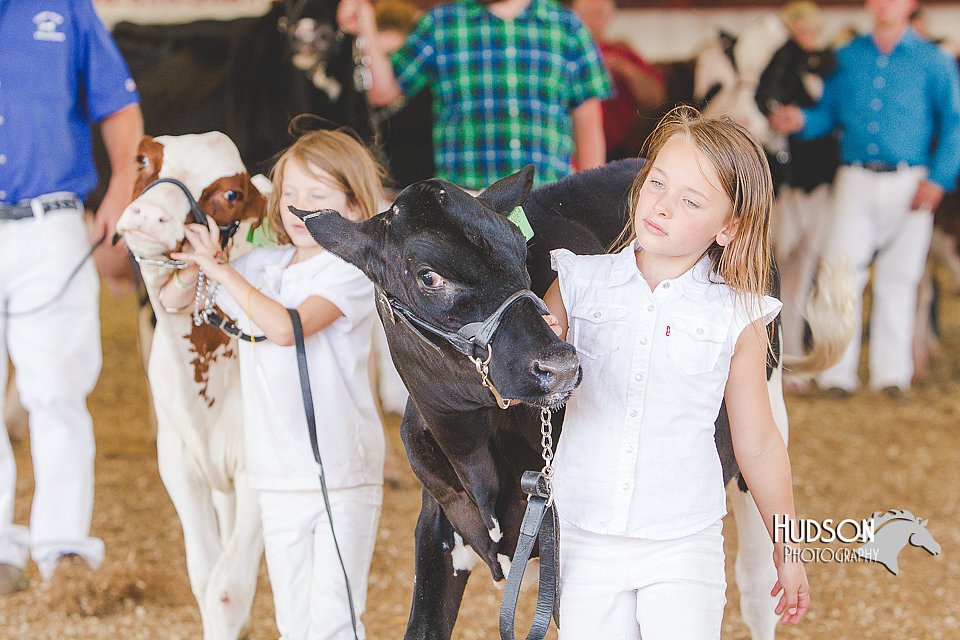 LCFAIR14-2903.jpg