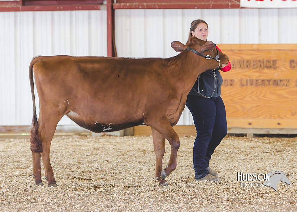 LCFAIR14-2916.jpg