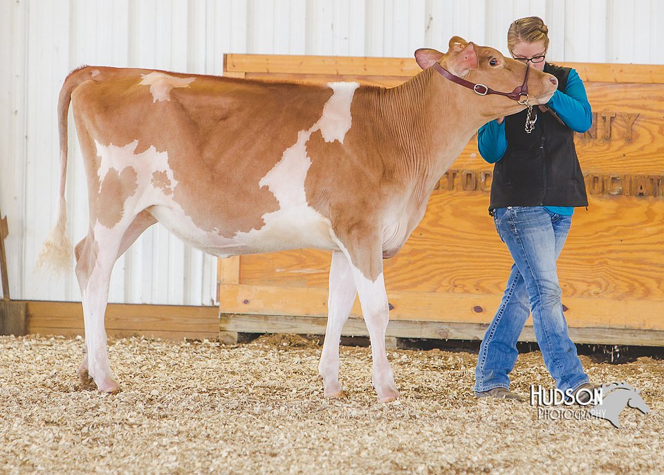 LCFAIR14-2920.jpg