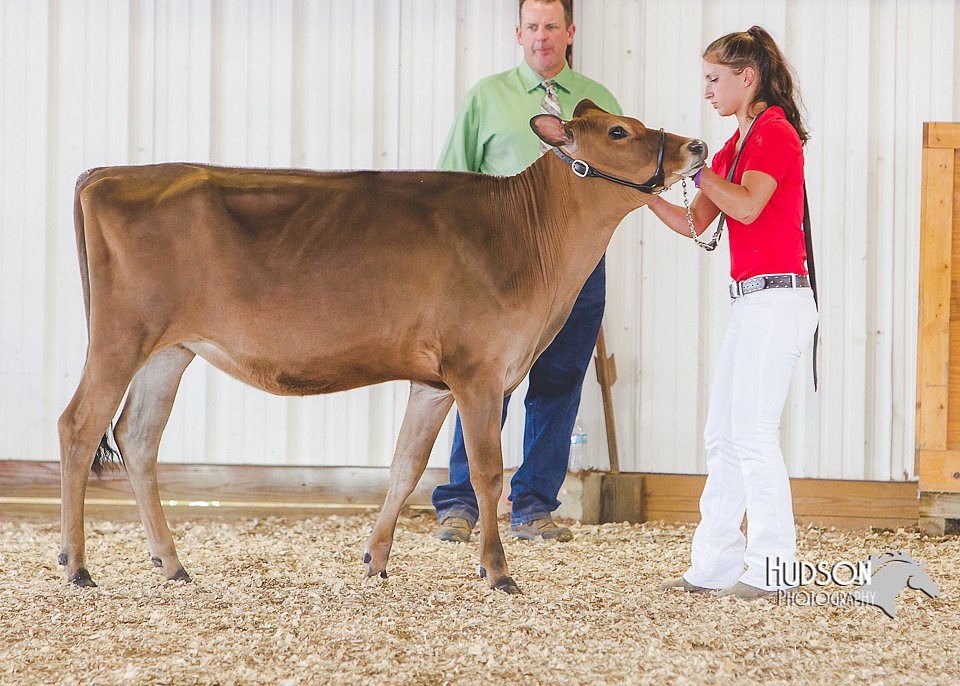 LCFAIR14-2921.jpg
