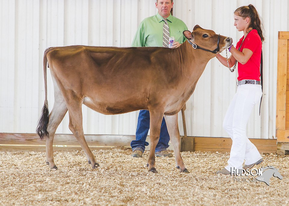 LCFAIR14-2922.jpg