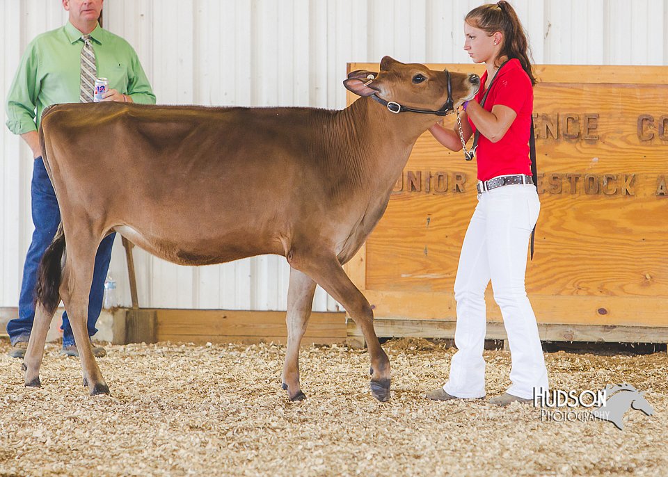 LCFAIR14-2923.jpg