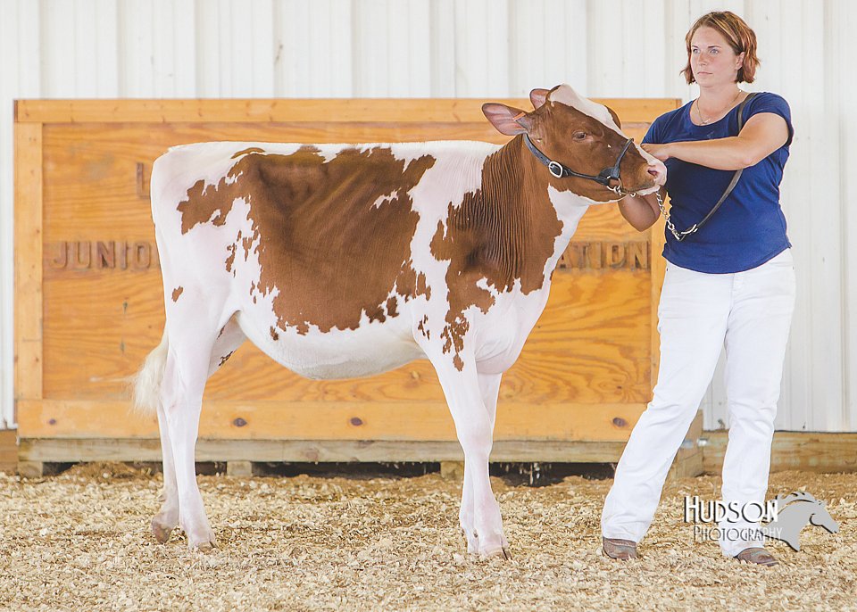 LCFAIR14-2925.jpg