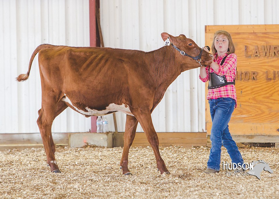 LCFAIR14-2926.jpg