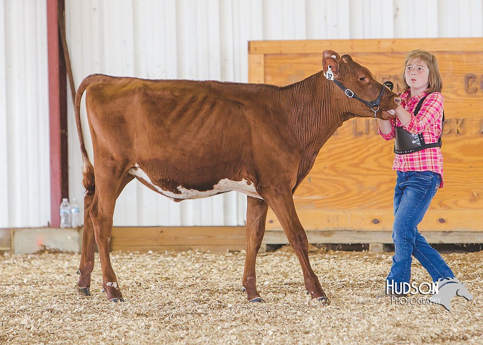 LCFAIR14-2927.jpg