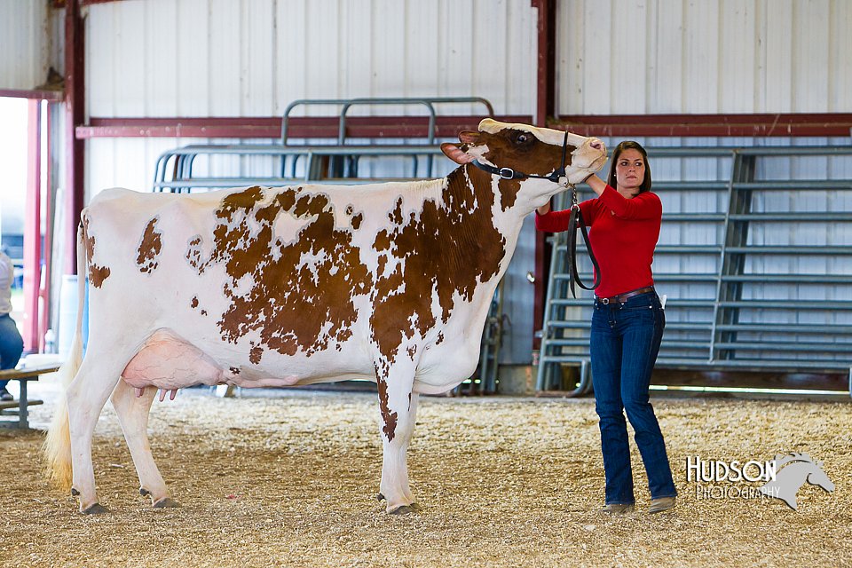 LCFAIR14-2939.jpg