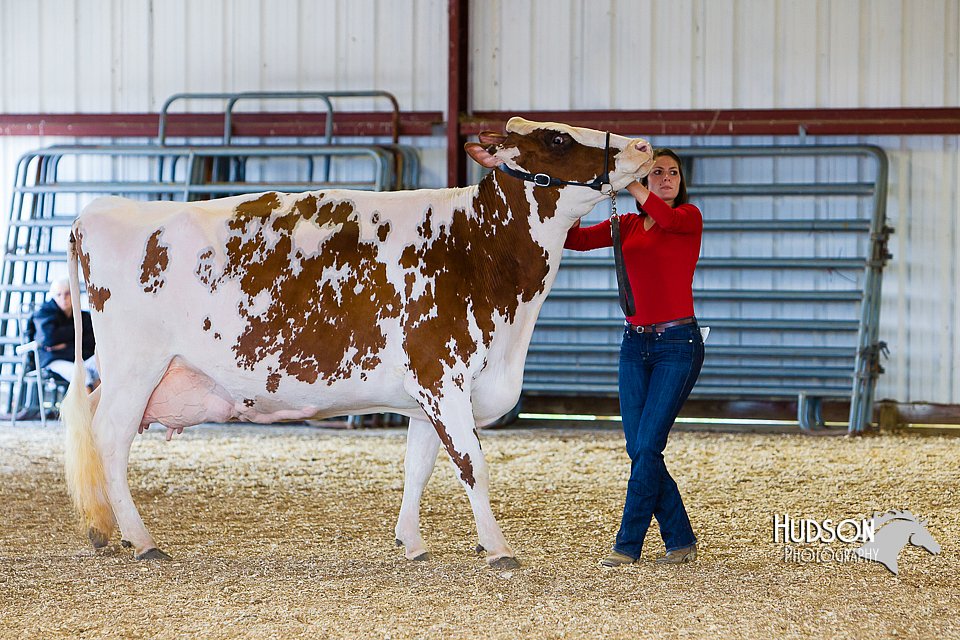 LCFAIR14-2940.jpg