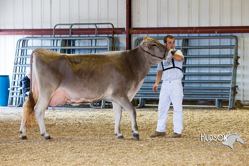 LCFAIR14-2941.jpg