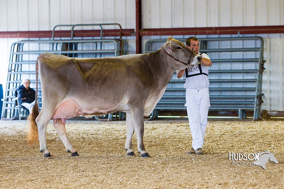 LCFAIR14-2942.jpg