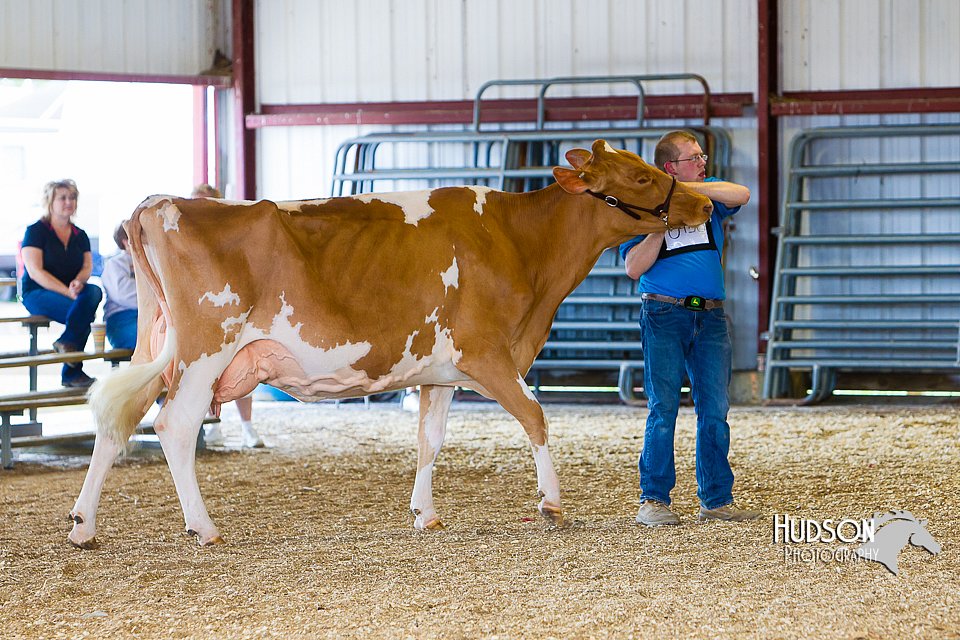 LCFAIR14-2943.jpg