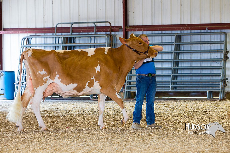 LCFAIR14-2944.jpg