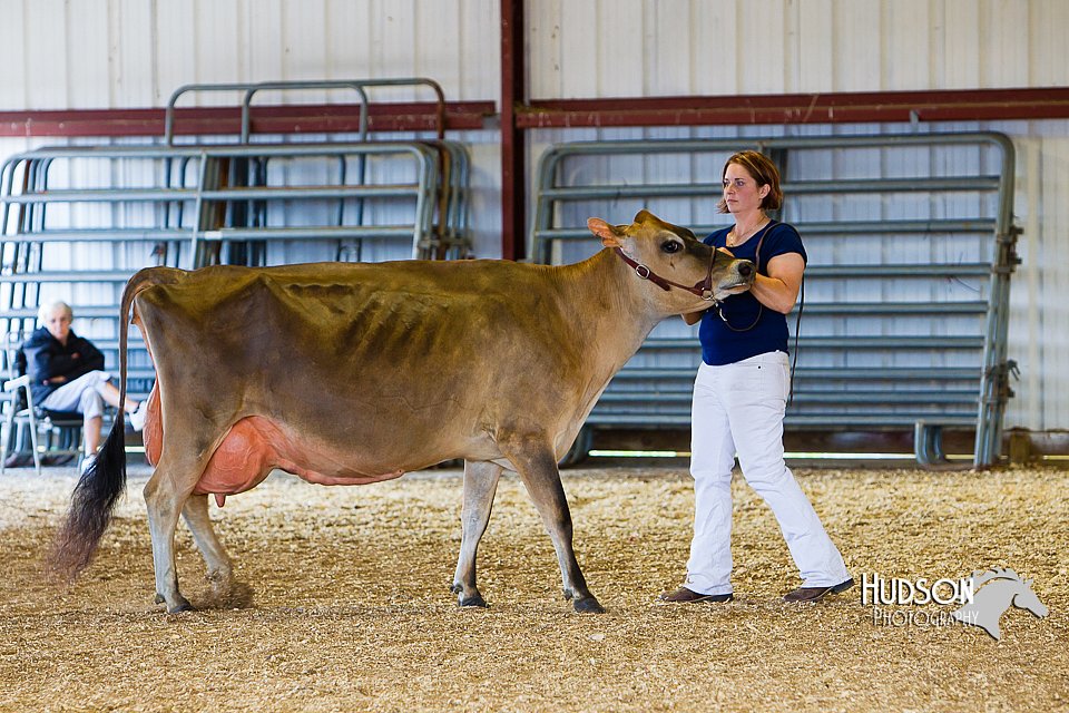 LCFAIR14-2945.jpg