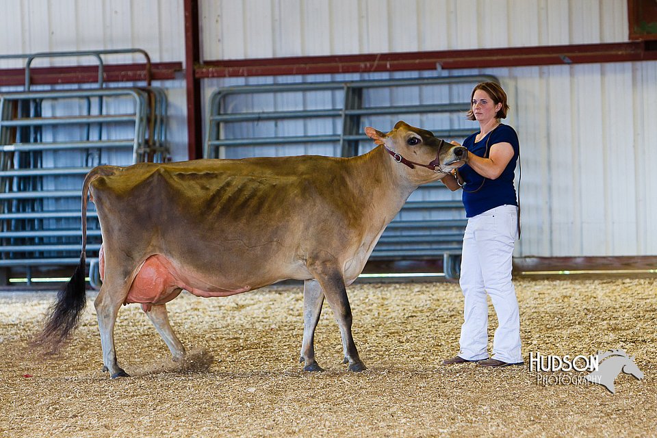 LCFAIR14-2946.jpg