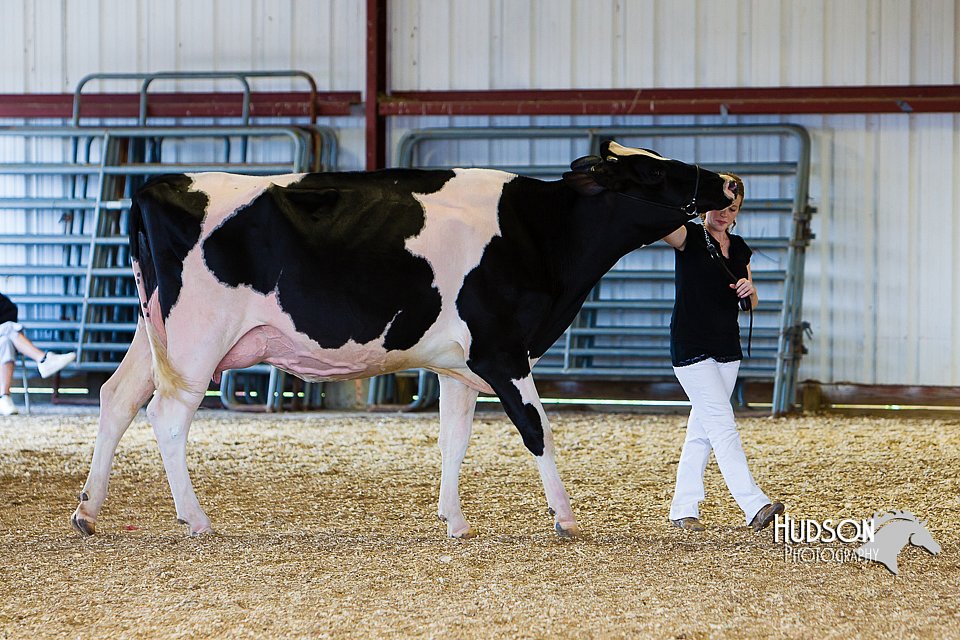 LCFAIR14-2948.jpg