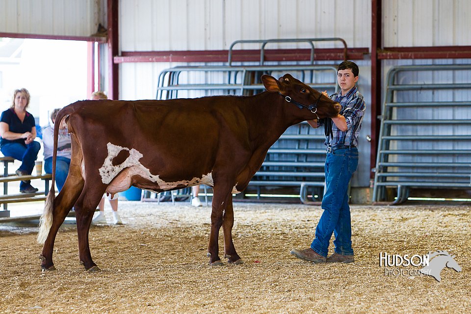 LCFAIR14-2950.jpg