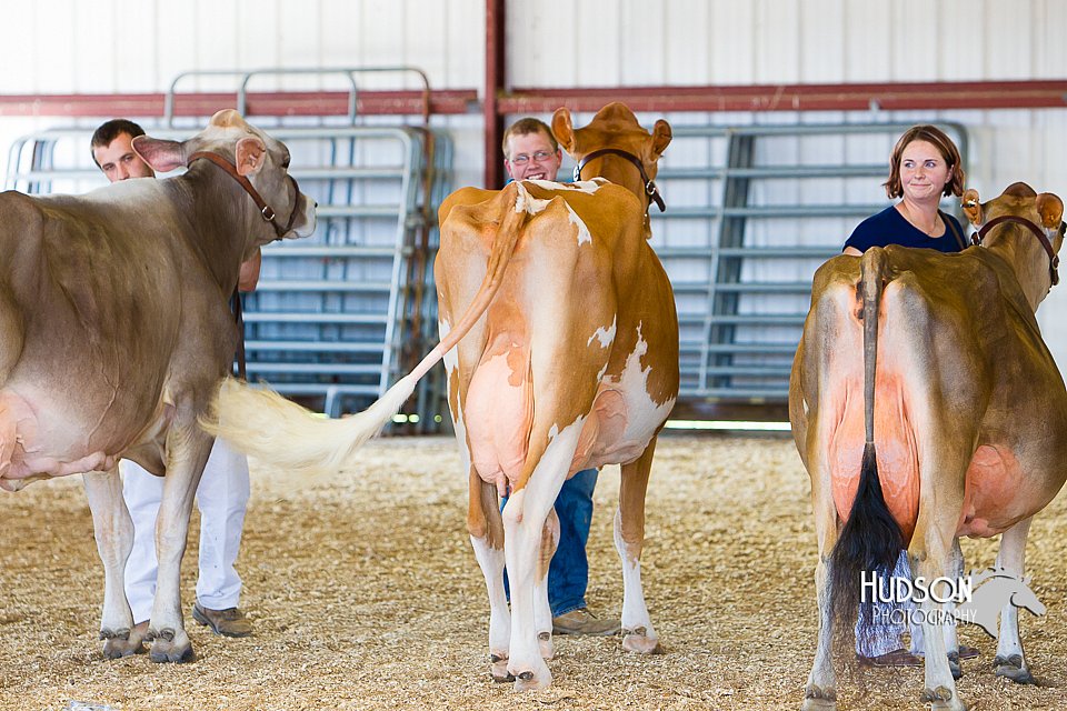LCFAIR14-2953.jpg