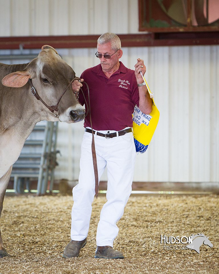 LCFAIR14-2967.jpg