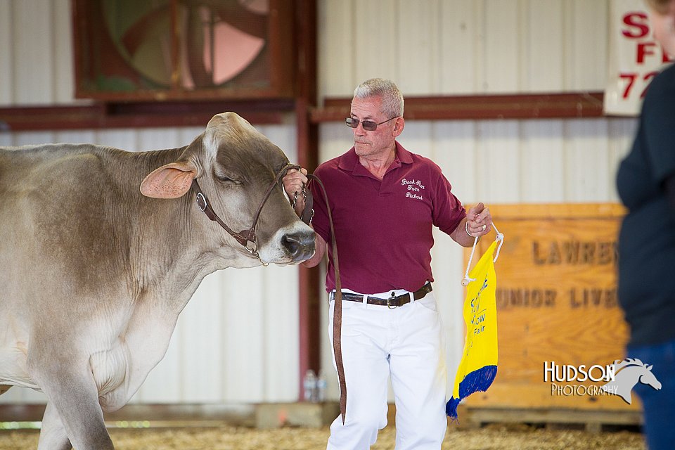LCFAIR14-2972.jpg
