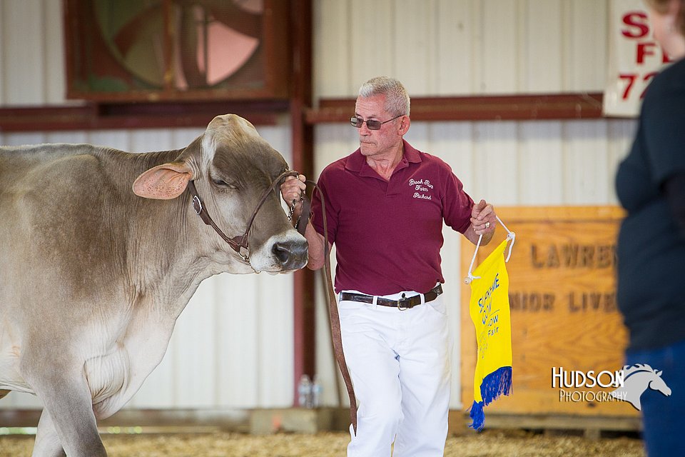 LCFAIR14-2973.jpg