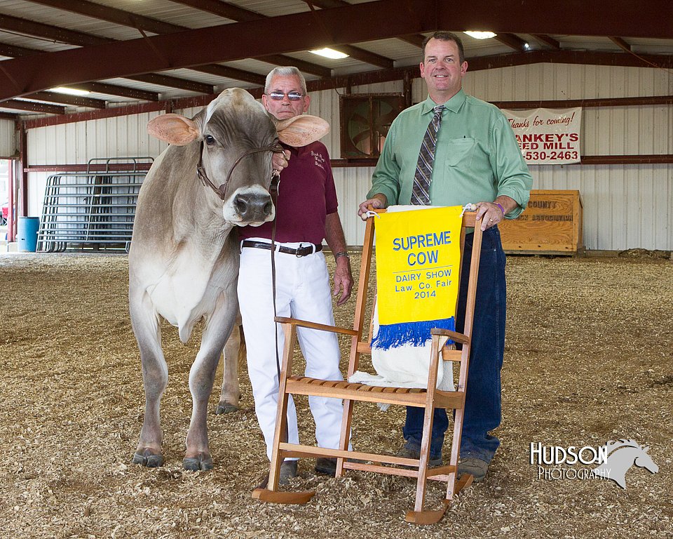 LCFAIR14-2981.jpg