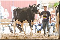 LCFAIR14-2762.jpg