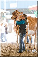 LCFAIR14-2764.jpg