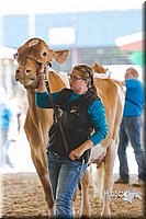 LCFAIR14-2765.jpg