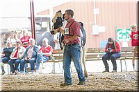 LCFAIR14-2771.jpg