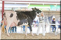 LCFAIR14-2785.jpg