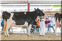 LCFAIR14-2786.jpg