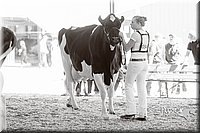 LCFAIR14-2787.jpg
