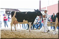 LCFAIR14-2791.jpg