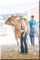 LCFAIR14-2792.jpg