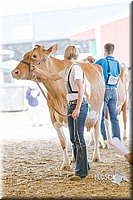 LCFAIR14-2793.jpg