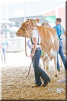 LCFAIR14-2794.jpg