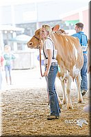 LCFAIR14-2795.jpg