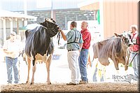 LCFAIR14-2797.jpg