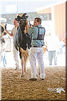 LCFAIR14-2799.jpg