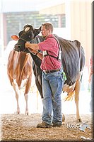 LCFAIR14-2800.jpg